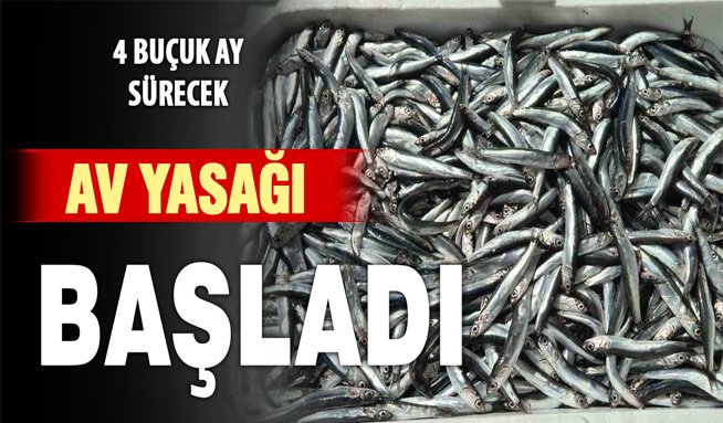 Bafra’da yeni dönem başladı! Artık bunlar yok