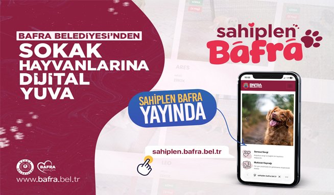 Bafra Belediyesi’nden Sokak Hayvanlarına Dijital Yuva