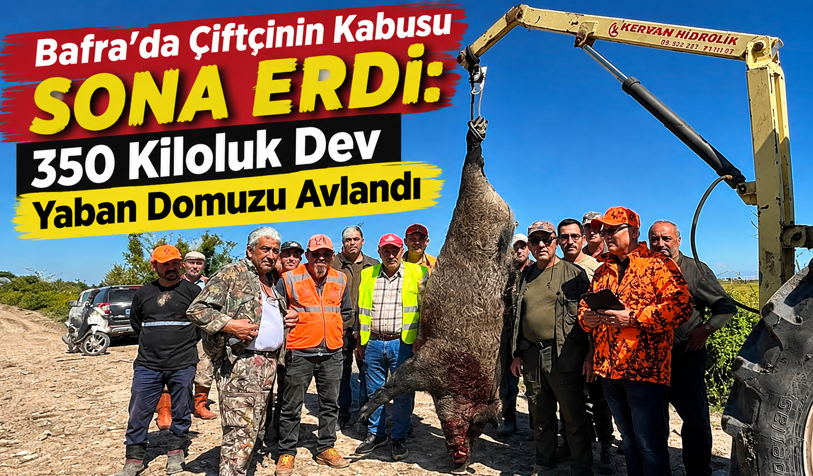 Bafra’da Çiftçinin Kabusu Sona Erdi: 350 Kiloluk Dev Yaban Domuzu Avlandı