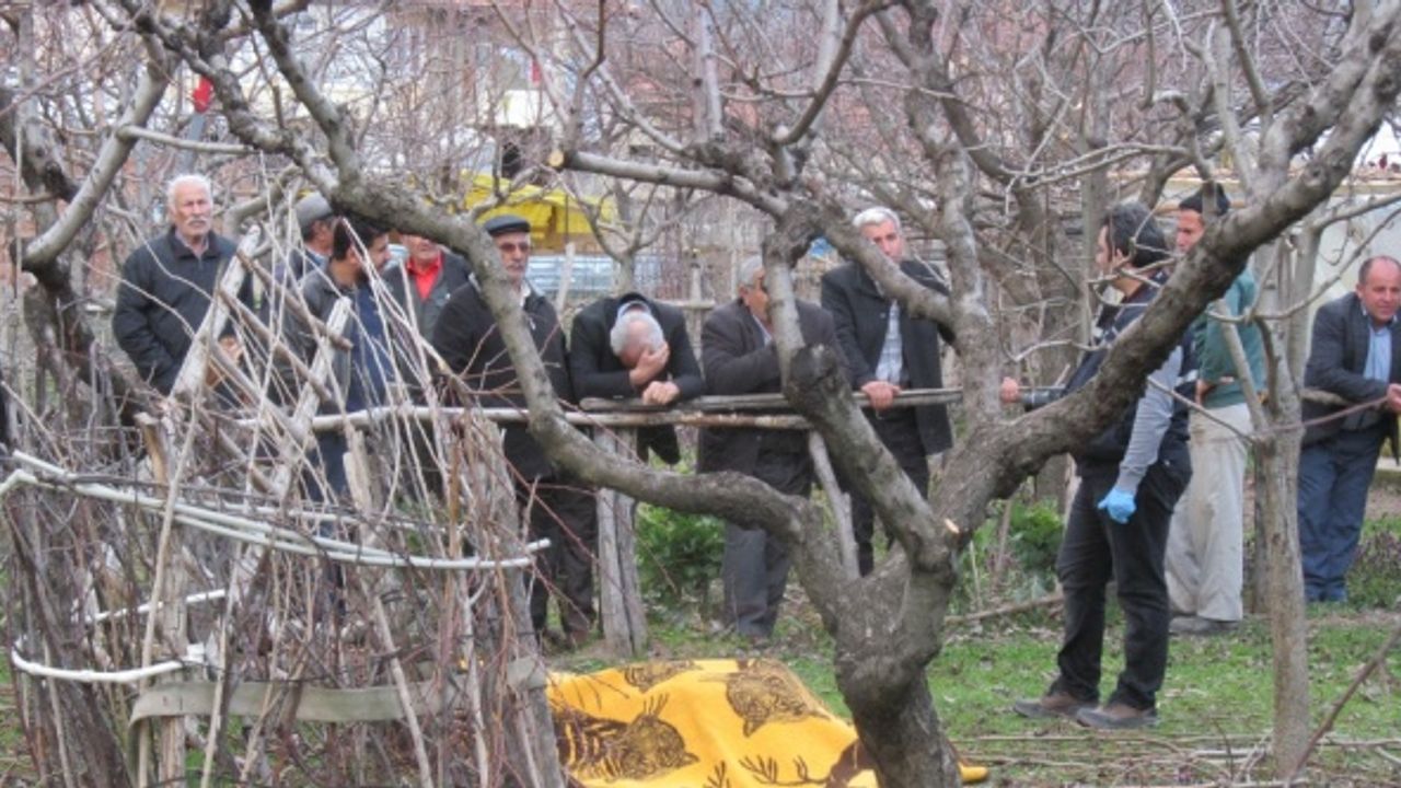 Tokat'ta budamak istediği ağaçtan düşen kişi öldü