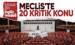 Meclis'te gözler 20 kritik maddeye çevrildi!