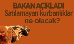 Bakan Açıkladı.Satılamayan kurbanlıklar ne olacak?