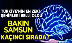 Türkiye'nin en zeki şehirleri belli oldu: Bakın Samsun  kaçıncı sırada?