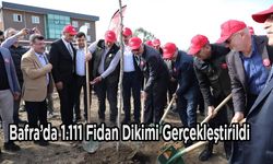 Bafra’da 1.111 Fidan Dikimi Gerçekleştirildi