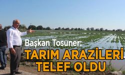 Bafra'da taşan su kanalları tarım arazilerini telef etti