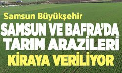 Samsun Büyükşehir 35 Adet Arazileri kiraya veriyor