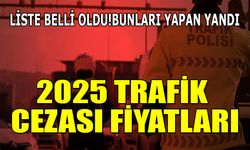 2025’in trafik cezaları ne kadar? Hepsine yüzde 50 zam gelecek...