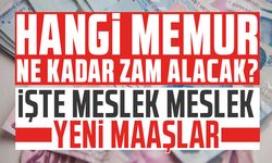 Meslek Meslek Zamlı Memur Maaşları?