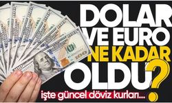 Dolar Ne Kadar Oldu? | Euro, dolar, sterlin, gram, çeyrek, yarım altın kaç TL? - 10 Şubat 2025 Döviz Kuru.