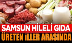 Samsun Hileli Gıda Üreten İller Arasında