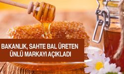 Bakanlık, sahte bal üreten ünlü markayı açıkladı