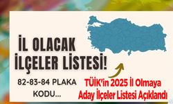 TÜİK'in 2025 İl Olmaya Aday İlçeler Listesi Açıklandı