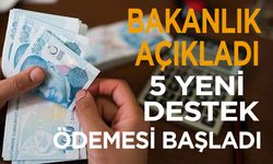 Bakanlık açıkladı: 5 yeni destek ödemesi başladı!