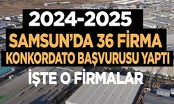 Samsun'da 36 firma konkordato başvurusu yaptı! İşte o firmalar