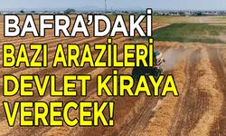 Bafra’daki bazı arazileri devlet kiraya verecek!