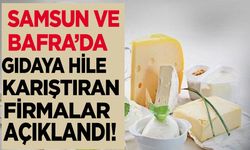 Samsun ve Bafra’da Gıda Alarmı: Üç Firma Taklit ve Tağşiş Listesinde