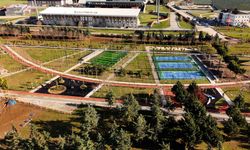 Bafra Millet Bahçesi İçin Gün Sayıyor