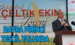 AK Parti Samsun Milletvekili Orhan Kırcalı açıkladı: Bafra Pirinci tescil yolunda