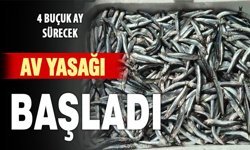 Bafra’da yeni dönem başladı! Artık bunlar yok