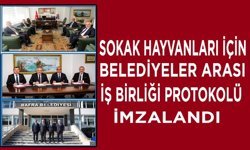 Sokak Hayvanları İçin Belediyeler Arası İş Birliği Protokolü İmzalandı