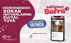 Bafra Belediyesi’nden Sokak Hayvanlarına Dijital Yuva