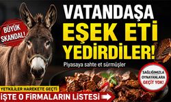 Vatandaşa eşek eti yedirdiler.. Bakanlık yeni taklit ve tağşiş listesini açıkladı