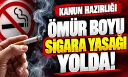 Ömür boyu sigara yasağı mı geliyor? Taslakta dikkat çeken düzenlemeler
