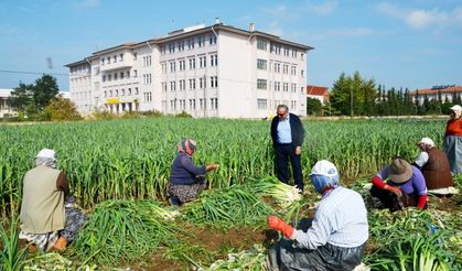 Bafra Kaymakam Halis Arslan Fatih mahallesinden geçerken makam aracını durdurdu ve sonra