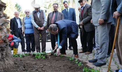 BAŞKAN ŞAHİN, HUZUREVİ’NDE YAŞLILARLA ÇİÇEK DİKTİ