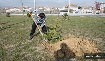 Yeşil Bir Kavak İçin Çalışmalar Sürüyor