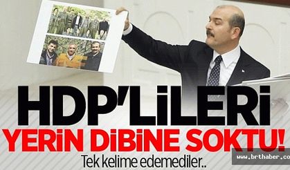 Bakan Soylu HDP'lileri Yerin dibine soktu
