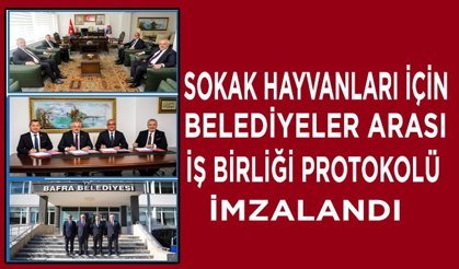 Sokak Hayvanları İçin Belediyeler Arası İş Birliği Protokolü İmzalandı