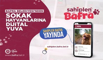 Bafra Belediyesi’nden Sokak Hayvanlarına Dijital Yuva