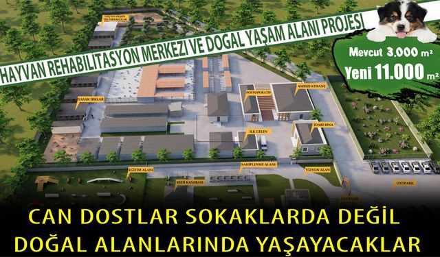 Bafra’da Can Dostlar Sokaklarda Değil Doğal Alanlarında Yaşayacaklar