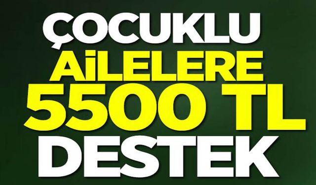 Çocuklu ailelere 5500 TL destek