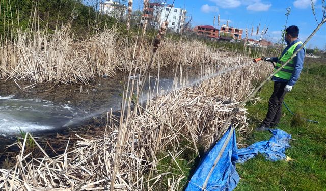 Bafra Belediyesi İlçenin Dört Tarafında Larva Mücadelesini Sürdürüyor