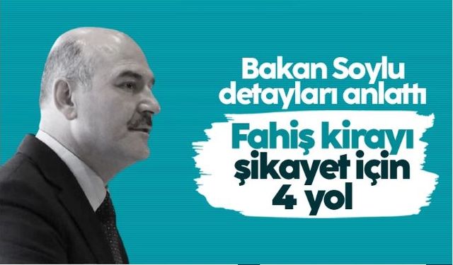 Bakan Soylu detayları anlattı: Fahiş kirayı şikayet için 4 yol