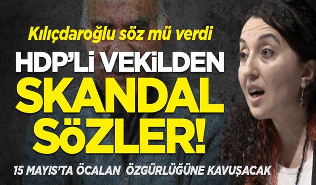 HDP'li vekilden skandal Öcalan açıklaması! Tarih verdi