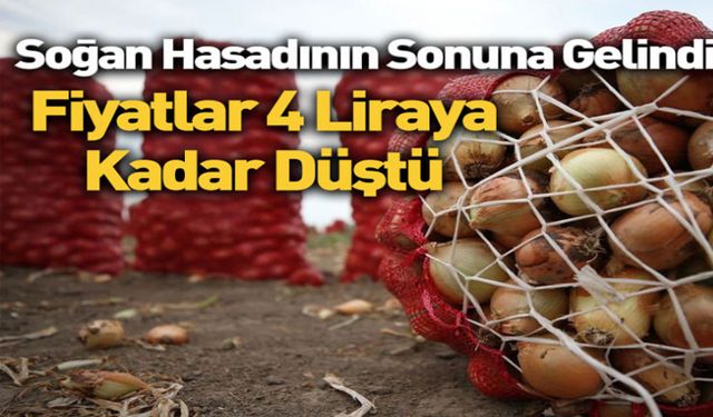 Soğan hasadının sonuna gelindi: Fiyatlar 4 liraya kadar düştü