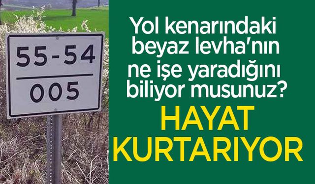 Yol kenarındaki 'beyaz levha'nın ne işe yaradığını biliyor musunuz?