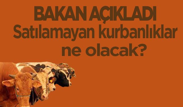 Bakan Açıkladı.Satılamayan kurbanlıklar ne olacak?