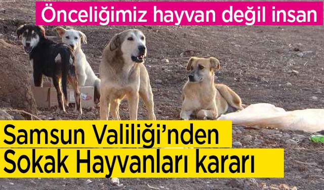 Samsun Valiliği’nden sokak hayvanları kararı