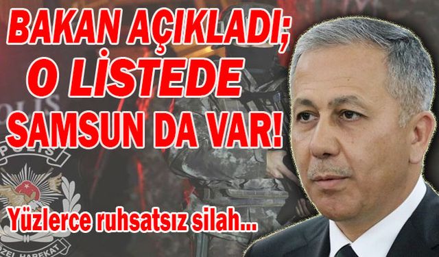 Bakan açıkladı Samsun da var! Yüzlerce ruhsatsız silah...