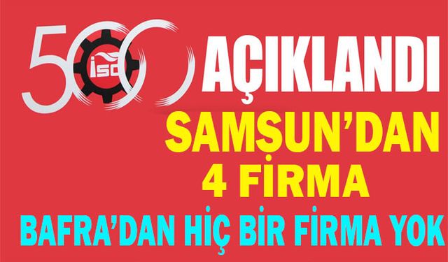 Bafralı Hiç Bir Firma ilk 500'e Giremedi