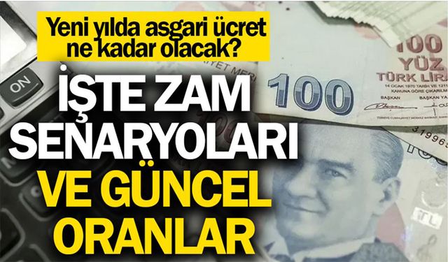 Yeni yılda asgari ücret ne kadar olacak? İşte zam senaryoları ve güncel oranlar