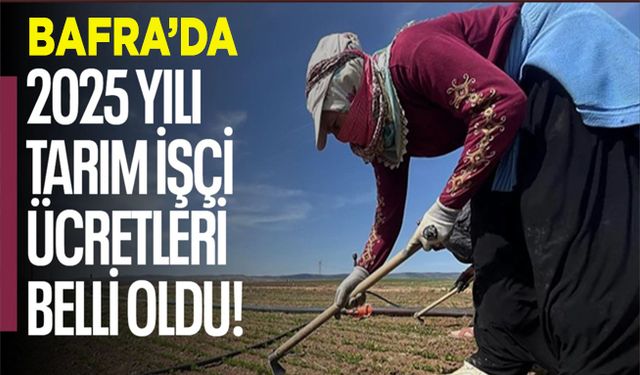 Bafra'da 2025 Tarım İşçisi Ücretleri Belirlendi