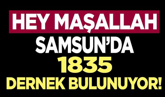 Samsun’da 1835 faal dernek bulunuyor