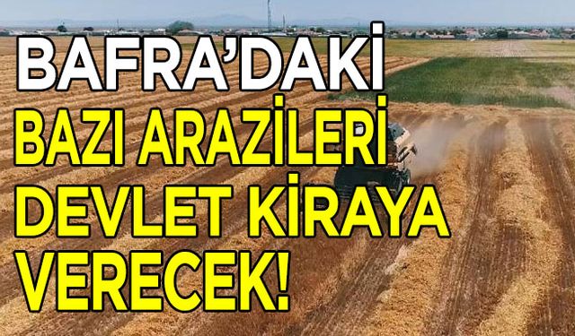 Bafra’daki bazı arazileri devlet kiraya verecek!