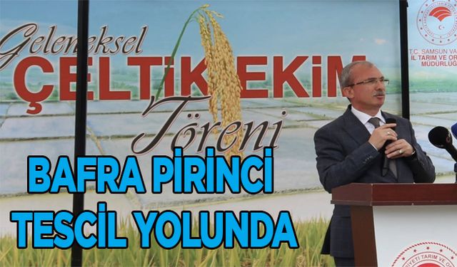 AK Parti Samsun Milletvekili Orhan Kırcalı açıkladı: Bafra Pirinci tescil yolunda