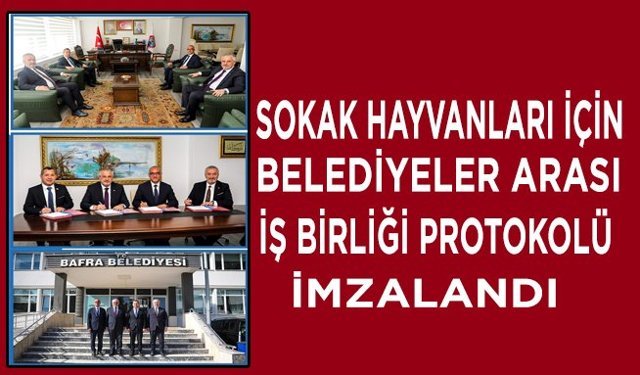 Sokak Hayvanları İçin Belediyeler Arası İş Birliği Protokolü İmzalandı
